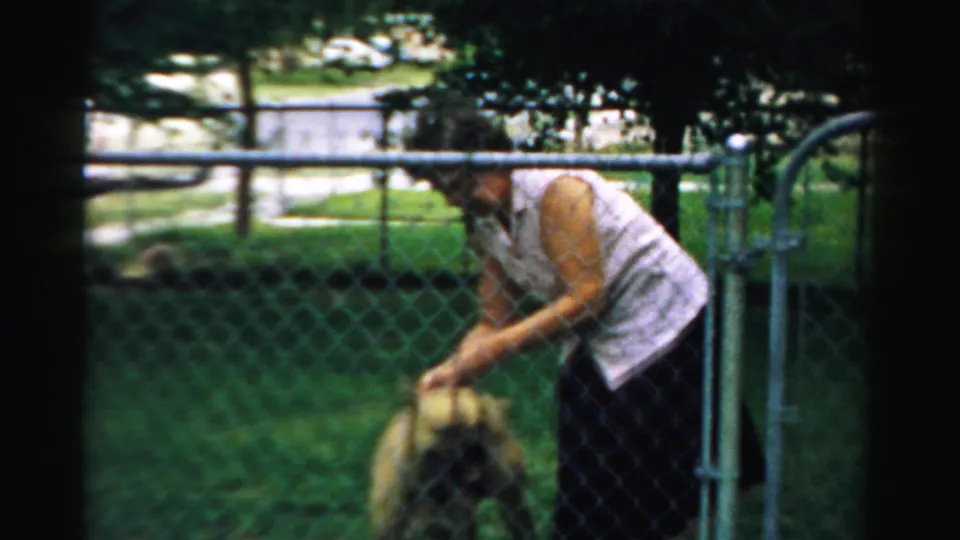 A woman in a sleeveless top stands beside a chain-link fence while touching the dog, framed by lawn, gate hardware, and trees.