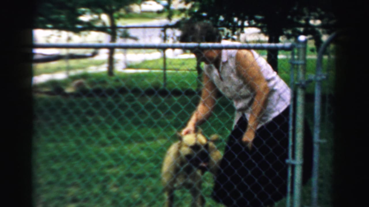 Woman bending near a light-colored dog behind a chain-link fence in a grassy yard.