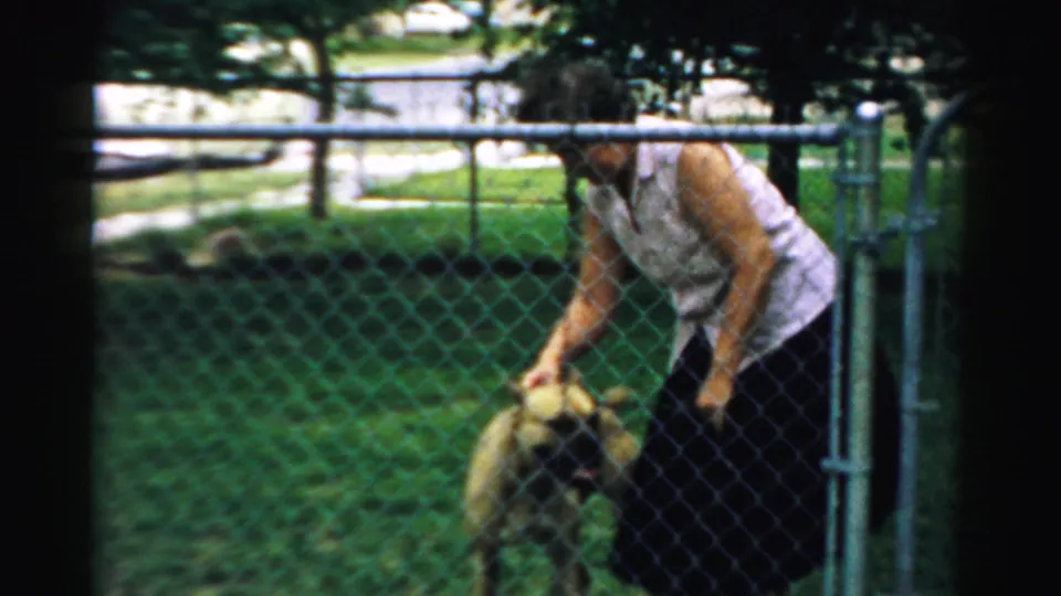 In Normal, Illinois home-movie footage from 1957, a woman bends to handle a light-colored dog near a chain-link fence.