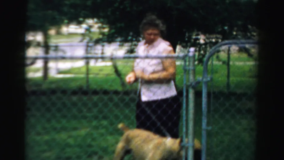 A woman in a light sleeveless top stands by a chain-link gate while a light-colored dog moves through the yard.