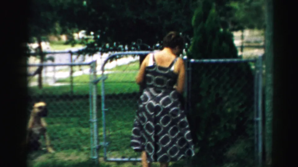 1957 Normal, Illinois frame of a woman in a patterned dress facing a chain-link gate while a dog sits or waits on the lawn nearby.