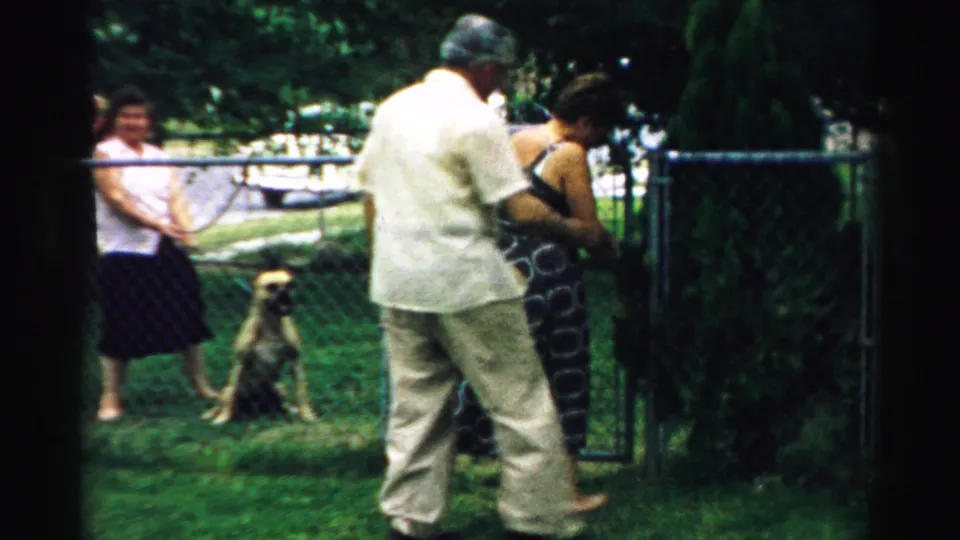 1957 Normal, Illinois home-movie frame showing an older man assisting a woman near a chain-link gate as another woman and a dog wait nearby.
