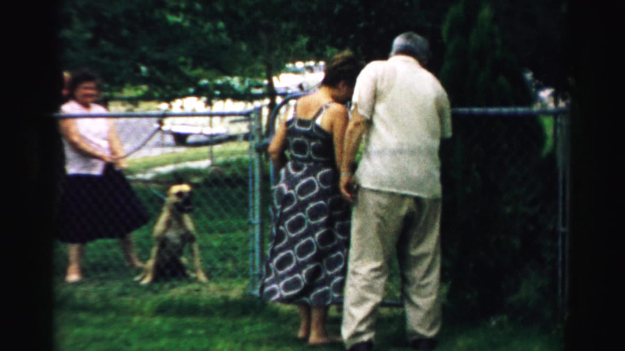 Three adults near a chain-link gate with a leashed dog in a grassy yard.