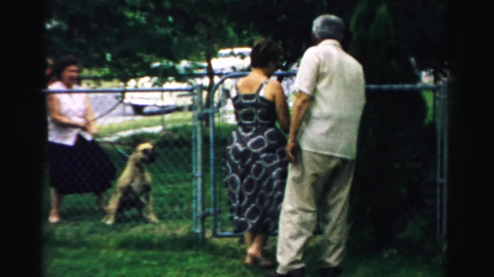The man and patterned-dress woman move through the open chain-link gate as a woman holds a leashed dog in the yard.