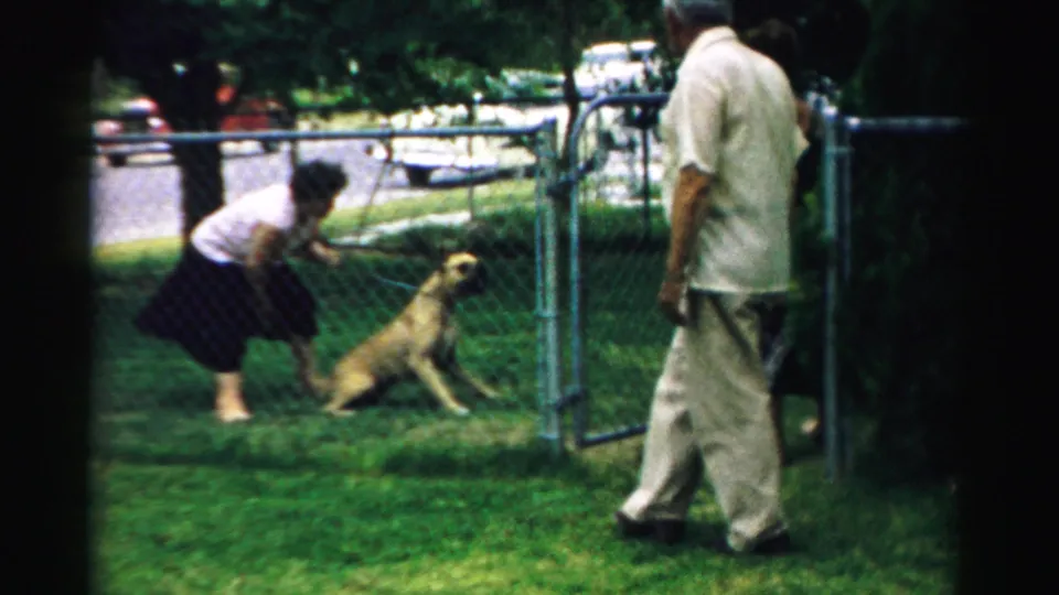 A woman in a white top bends toward the seated dog on a leash while a man watches near the open gate in the grassy yard.