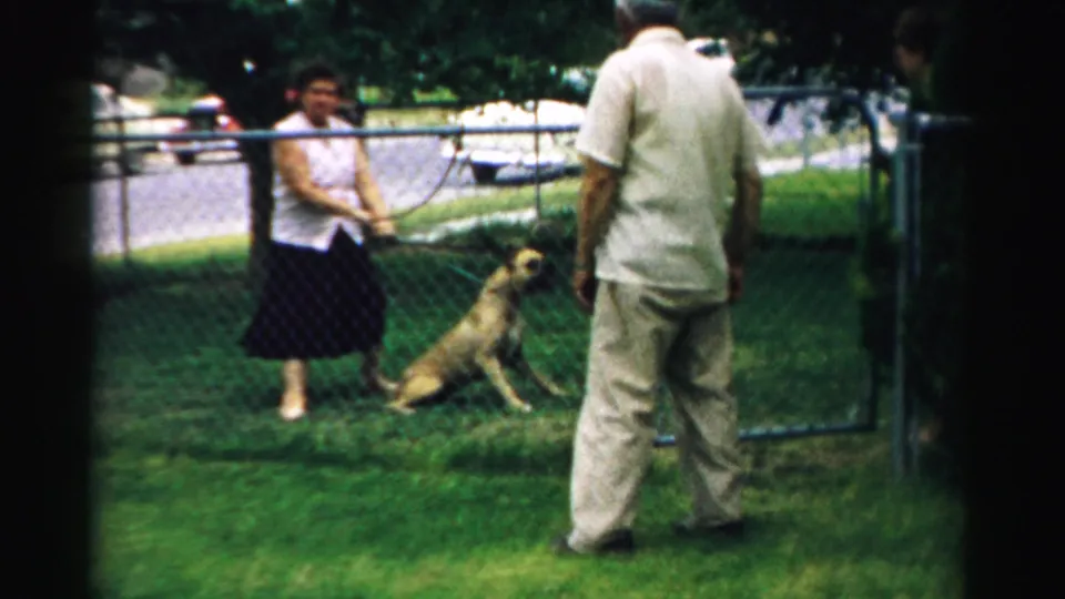 The woman holds the leash as the dog sits near the chain-link fence, with the man standing close to the open gate in the yard.