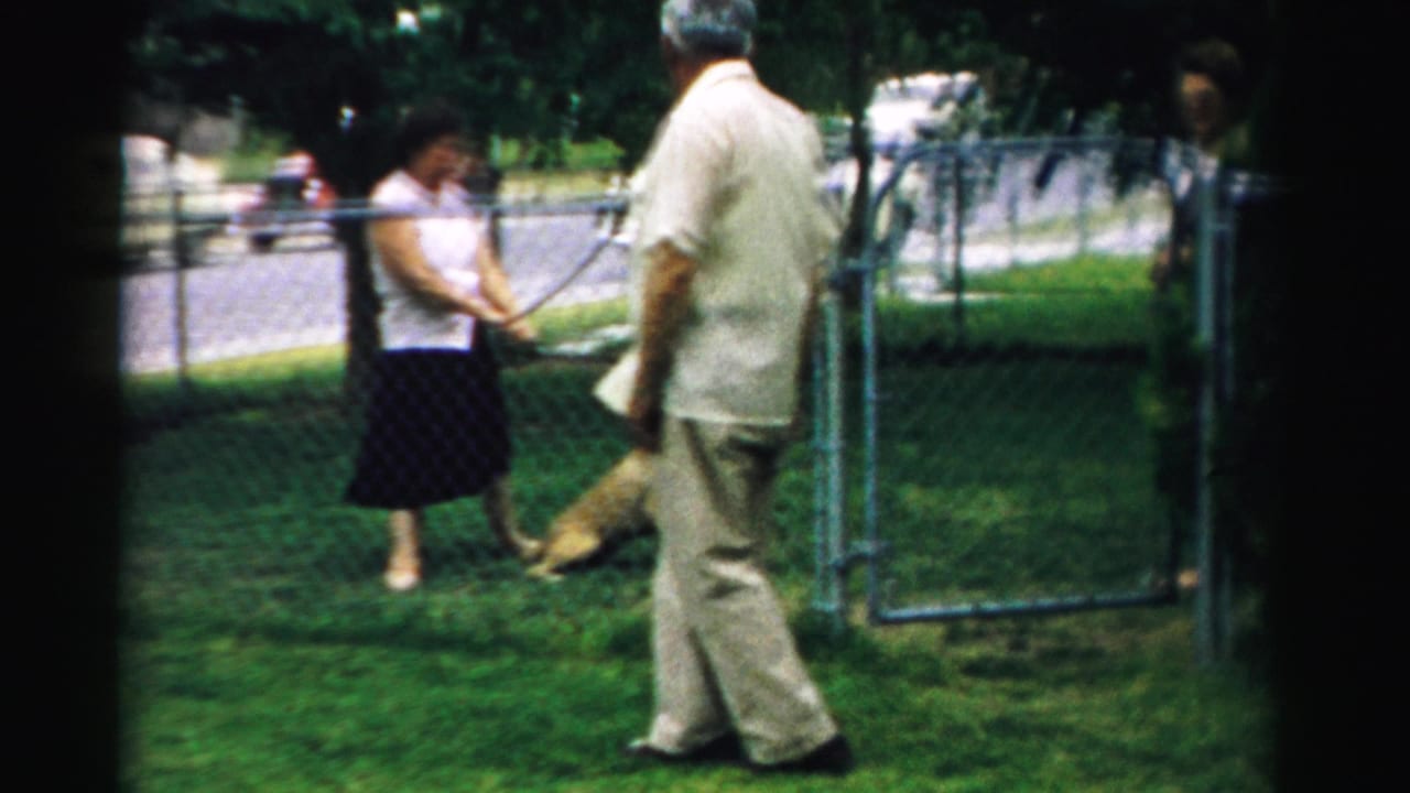 In 1957 Normal, Illinois, a woman in a white blouse handles a leashed dog as a man observes in a grassy backyard.