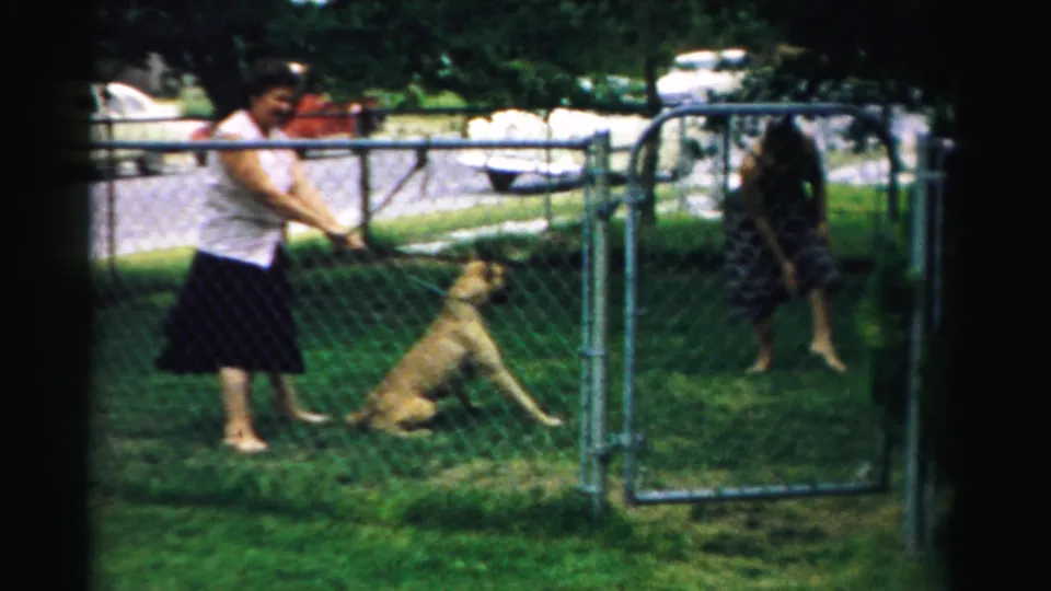 The woman continues handling the leashed dog beside the chain-link gate, with another adult partly visible in the Normal, Illinois yard.