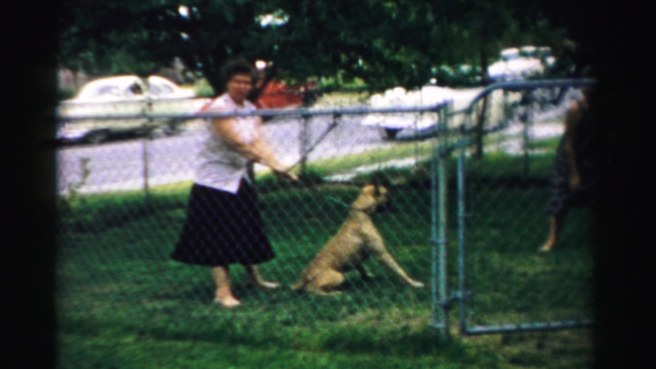 In 1957 Normal, Illinois home-movie footage, a woman in a white blouse stands with a light-colored dog in a grassy fenced yard.