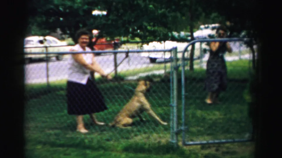 A woman plays with a dog near a fence gate as another woman in a patterned dress stands nearby in the Illinois yard.