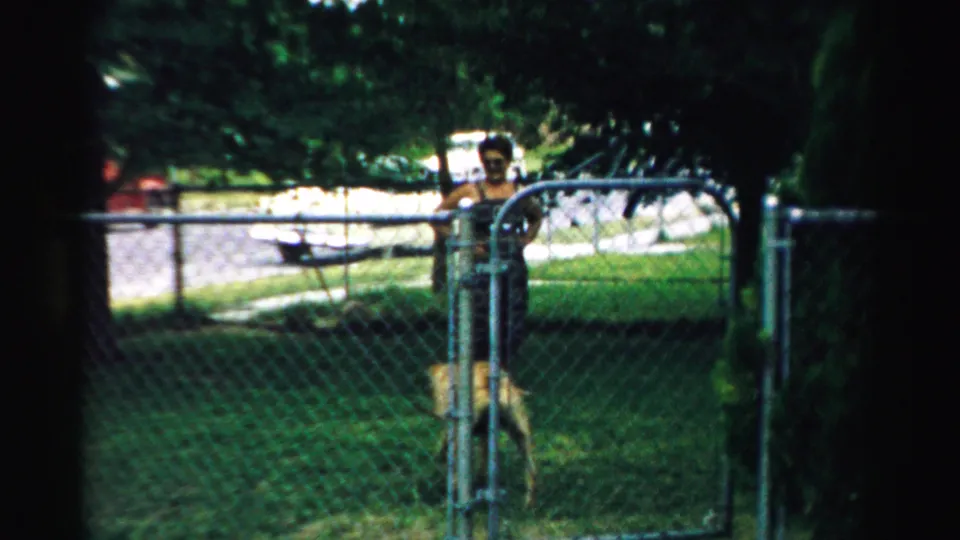 The light-colored dog stands near the fence gate while a woman is partially visible in the shaded backyard scene.
