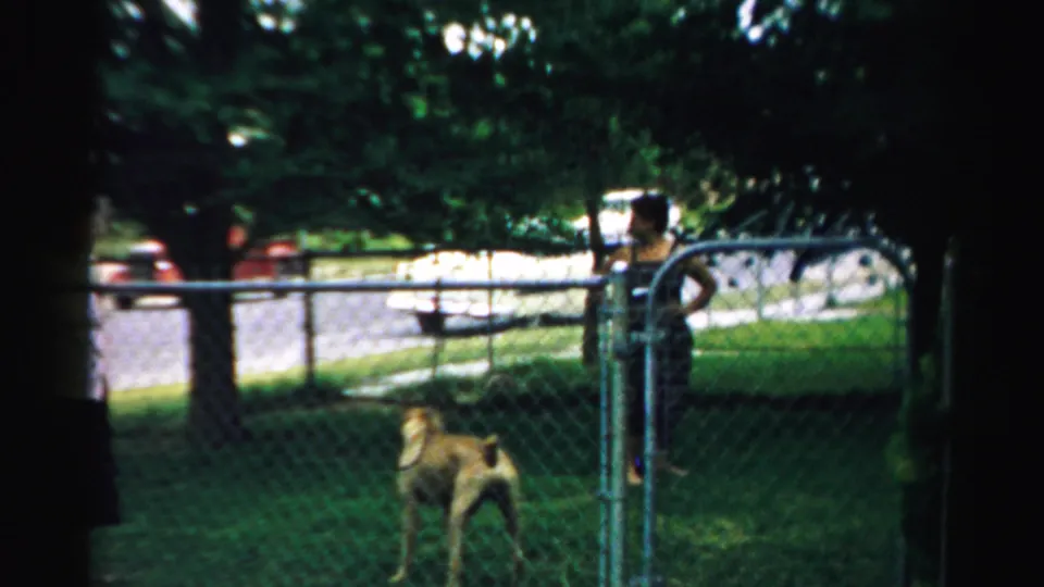 A light-colored dog moves through the shaded fenced backyard, with a woman partly visible near the gate in the background.