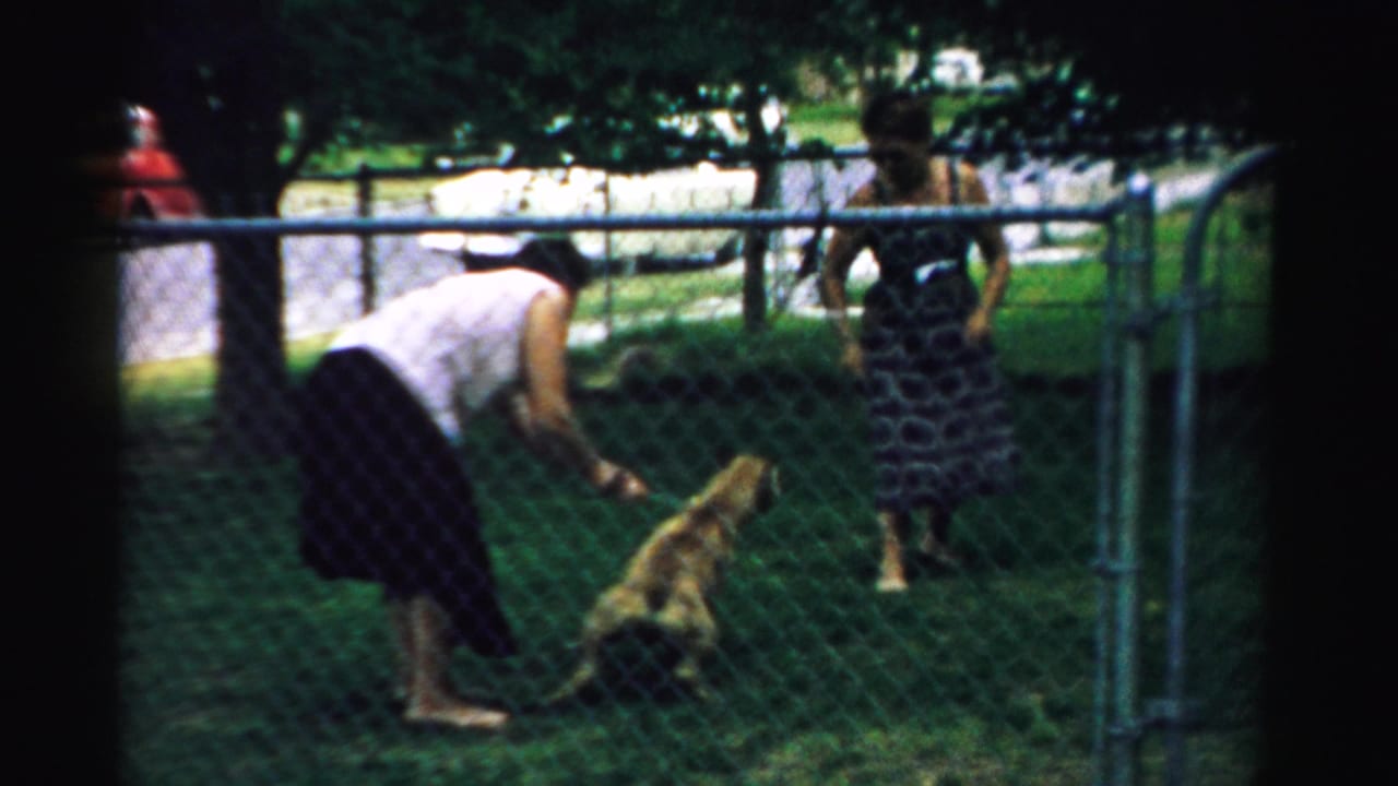 In a 1957 Normal, Illinois backyard scene, a woman bends toward a light-colored leashed dog as another woman stands near the fence.