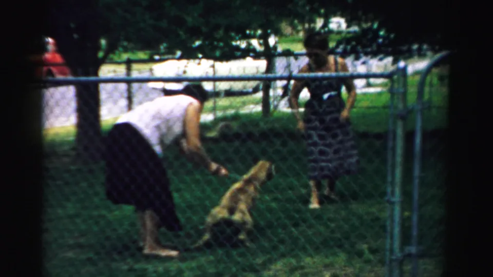 In a 1957 Normal, Illinois backyard scene, a woman bends toward a light-colored leashed dog as another woman stands near the fence.