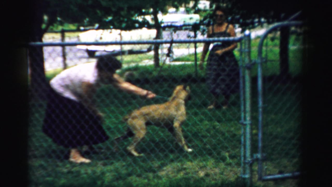 Woman leans over a light-colored dog on a leash near a chain-link gate in a grassy yard.