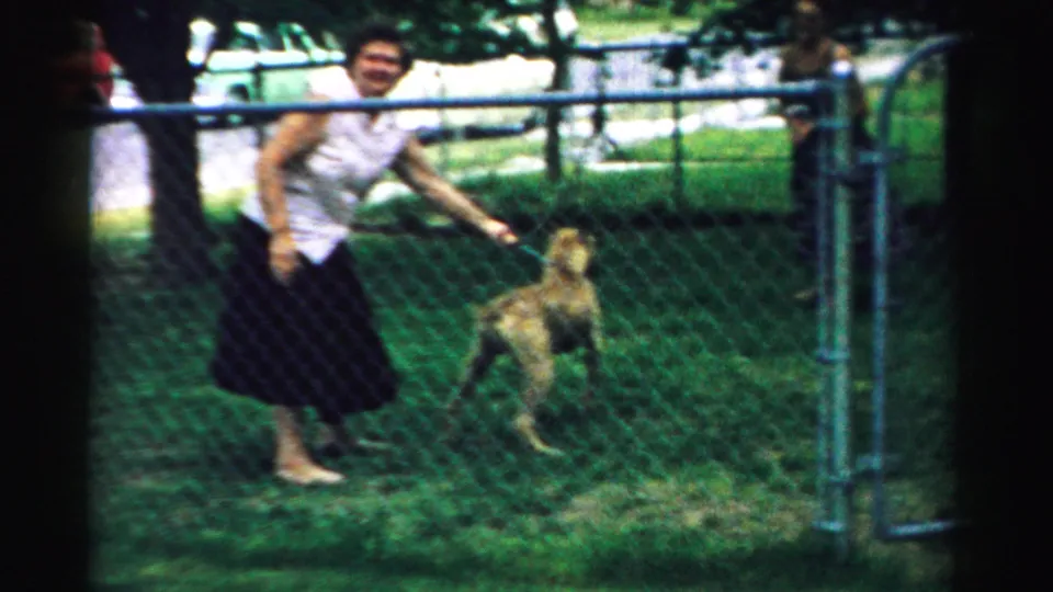 A woman appears to smile toward the camera while holding the leash of a light-colored dog in a fenced yard in Normal, Illinois.