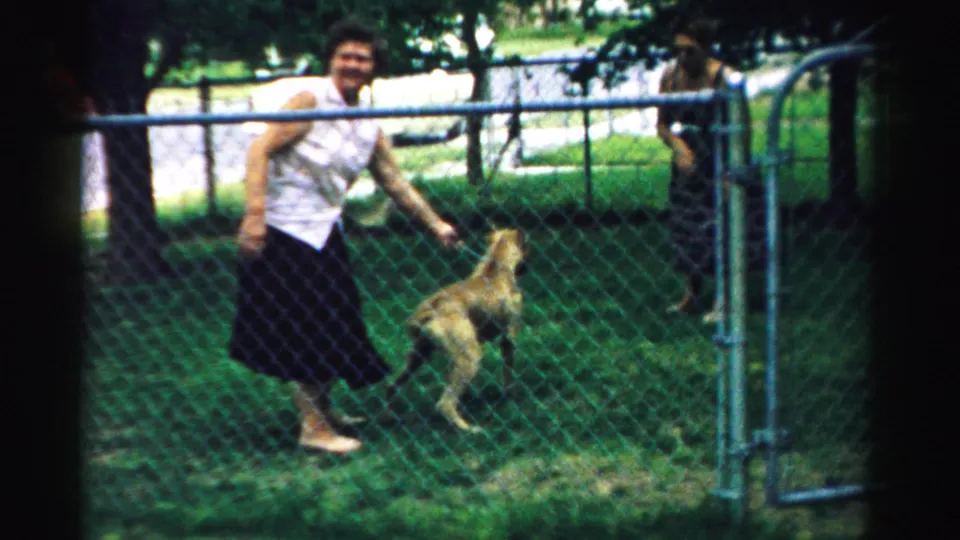 The leashed dog stands beside a chain-link gate while one woman holds the leash and another woman watches in the 1957 backyard footage.