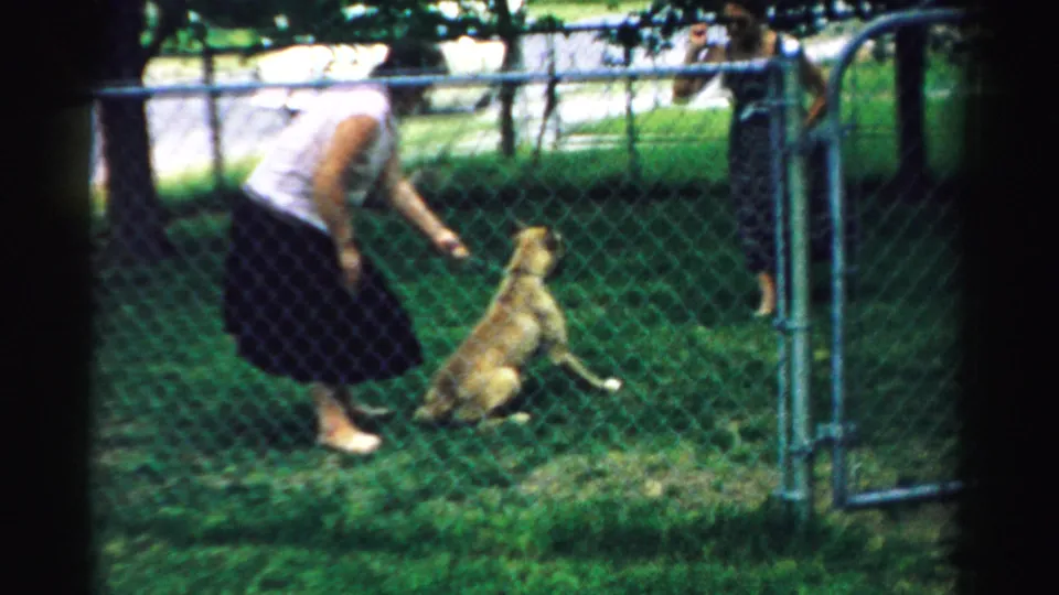 The woman continues gesturing to the seated dog while an adult observer stands near the chain-link gate.