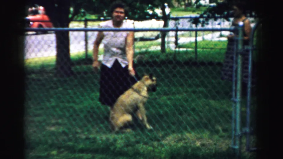 The woman stands beside the seated dog in the 1957 fenced backyard, with another adult partly visible near the gate.