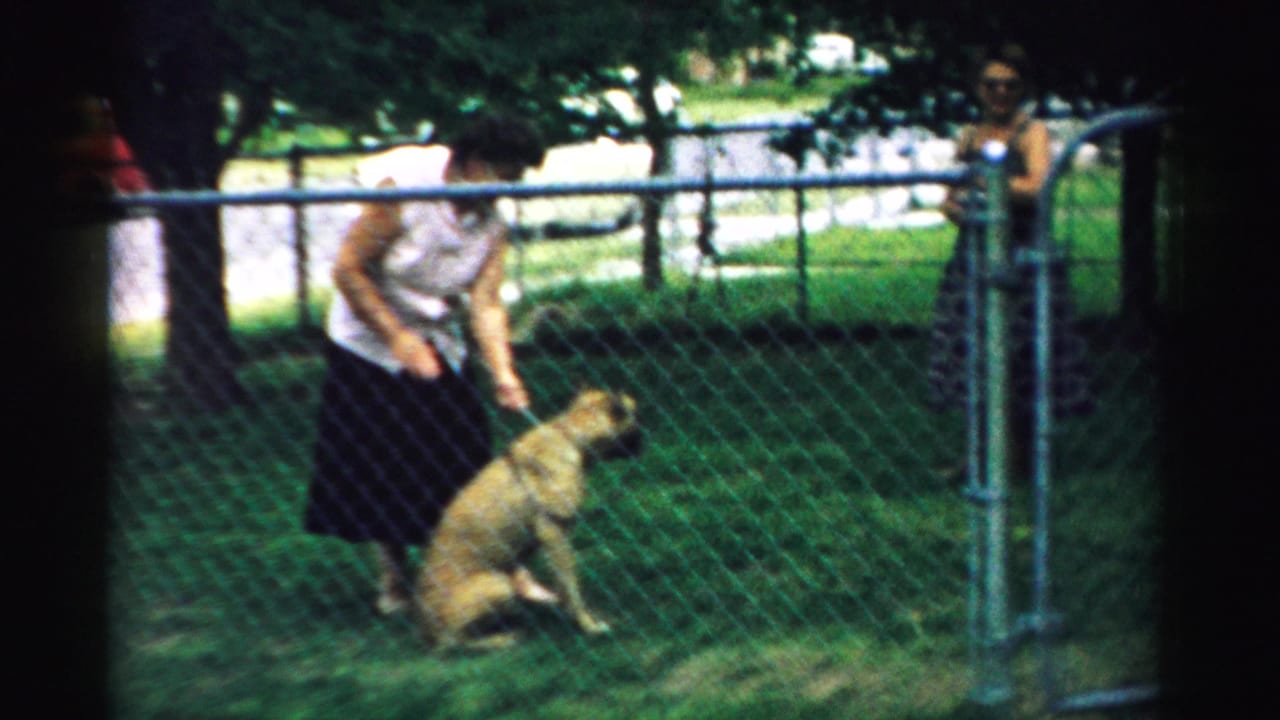 1957 Normal, Illinois home-movie frame showing a woman in a white blouse and dark skirt leaning toward a seated dog behind a chain-link fence.