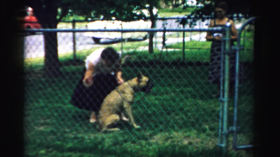 1957 Normal, Illinois frame with a woman standing beside a seated dog near a chain-link gate, with trees and bystanders behind them.