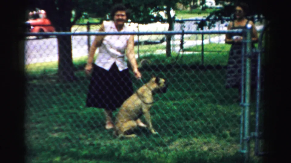 1957 Normal, Illinois home-movie still showing a smiling woman beside a seated dog, with a chain-link fence, trees, and a red car behind.