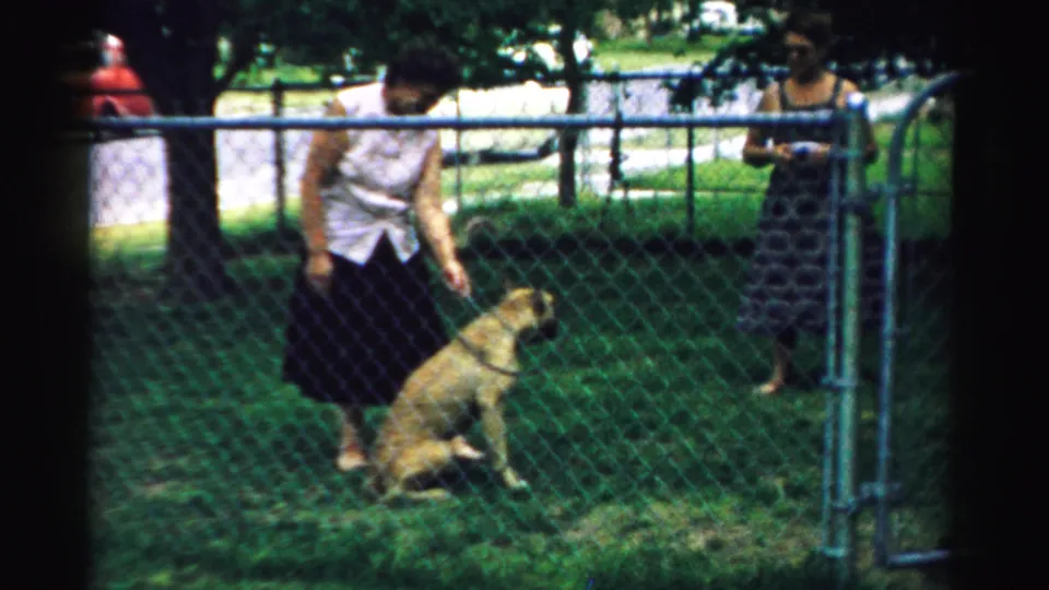 1957 Normal, Illinois frame of a woman looking down at a seated dog near a chain-link fence, with trees and a person in the background.