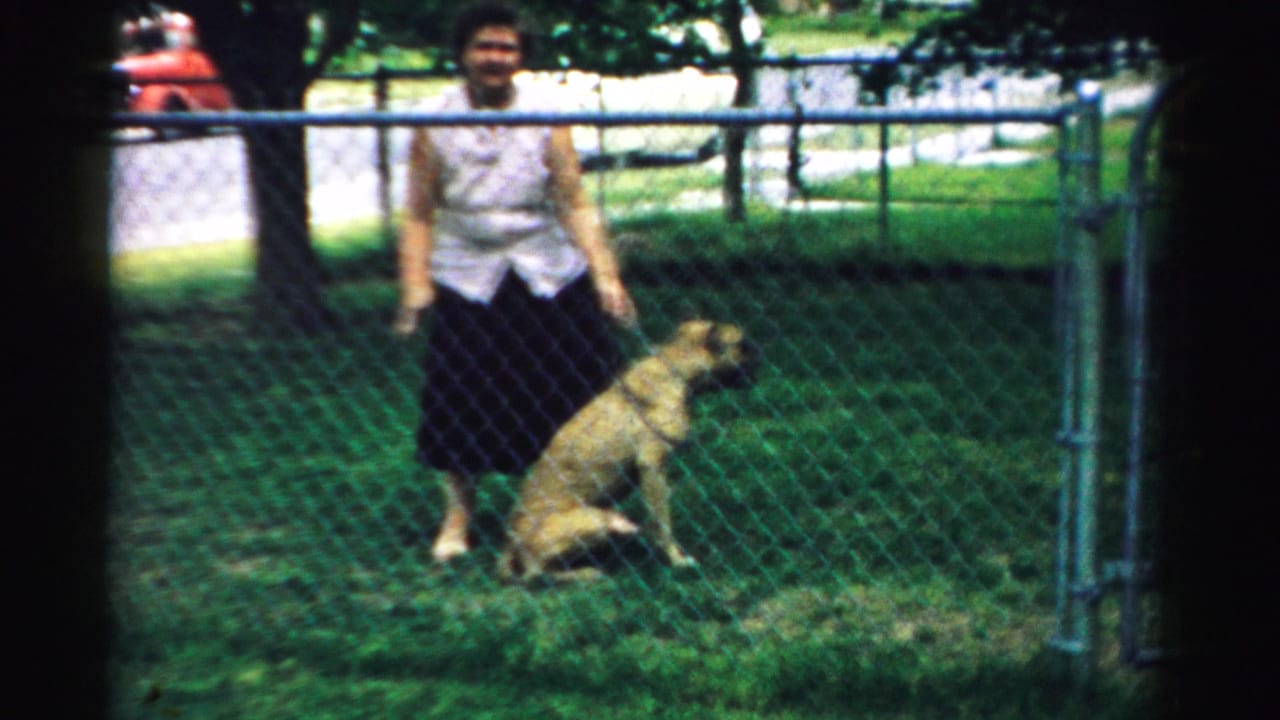 Woman in white top and dark skirt stands by a large brindle dog inside a chain-link yard.