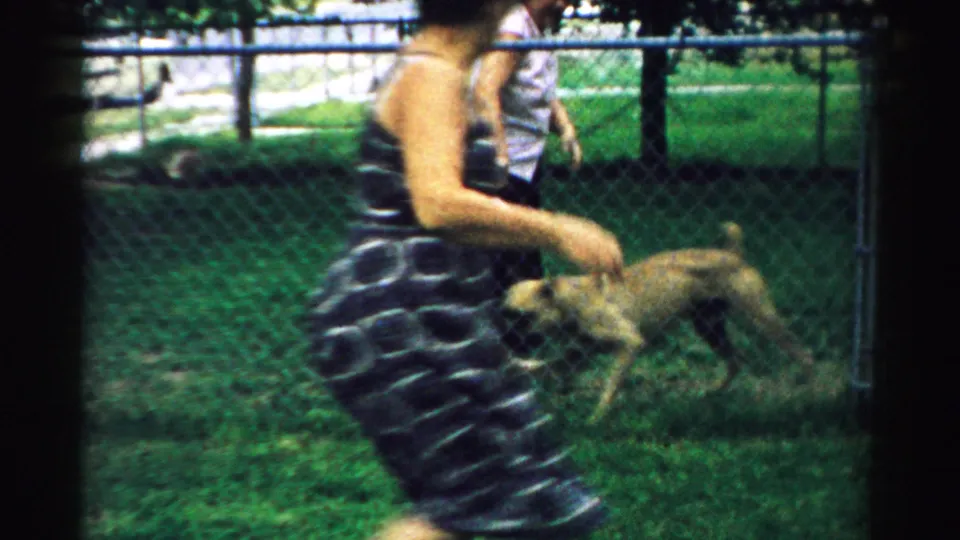 In the Illinois backyard scene, a woman in a patterned dress bends toward the large brindle dog while another woman stands behind her.