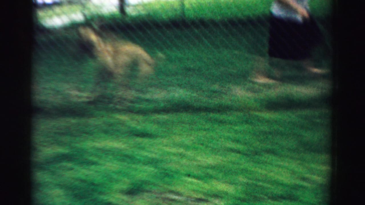 Soft 1957 8mm frame from Normal, Illinois showing a grassy yard and a small blurred figure moving across the lawn.