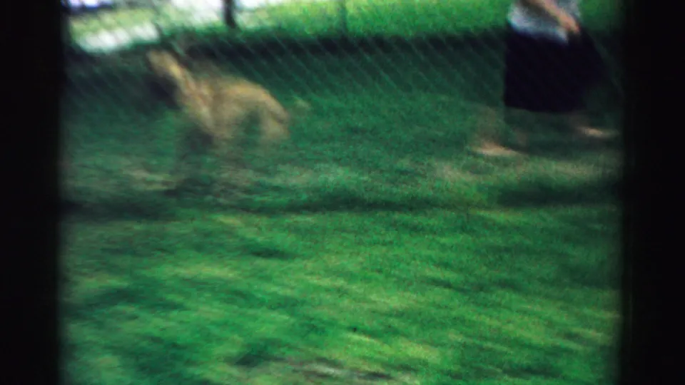 Soft 1957 8mm frame from Normal, Illinois showing a grassy yard and a small blurred figure moving across the lawn.
