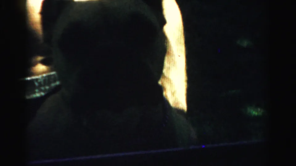 A dark dog is seen in close-up shadow, with part of a parked car visible in the 1957 home-movie footage.