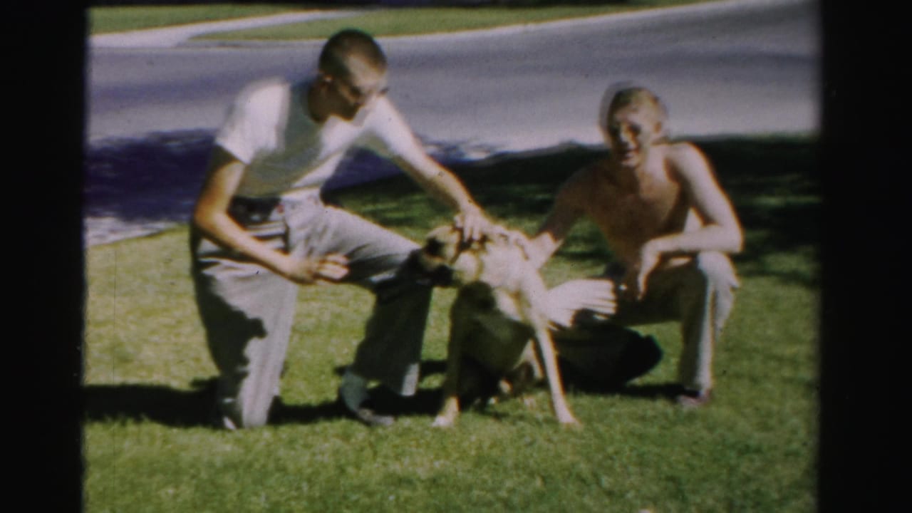 Two boys crouch on a lawn with a light-colored dog near a residential street.