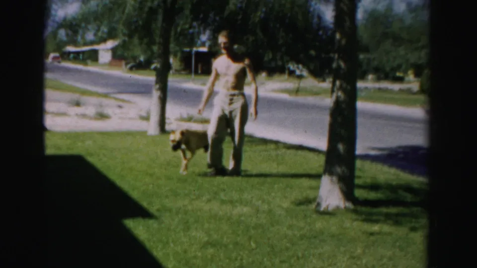 A shirtless boy in trousers stands on a suburban lawn in Normal, Illinois, with a dog moving ahead near the street.