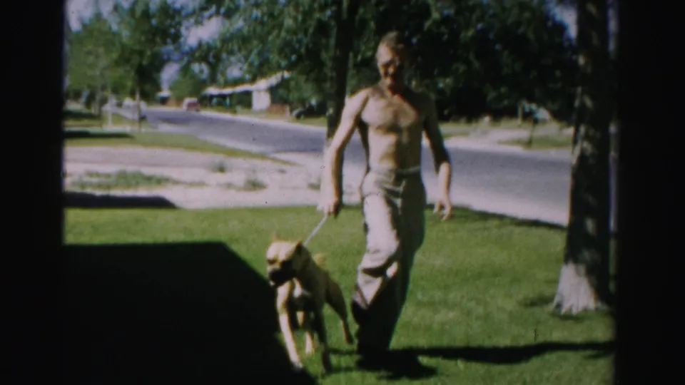The boy walks the family dog on a leash across a sunny suburban lawn, with Normal, Illinois street scenery behind him.