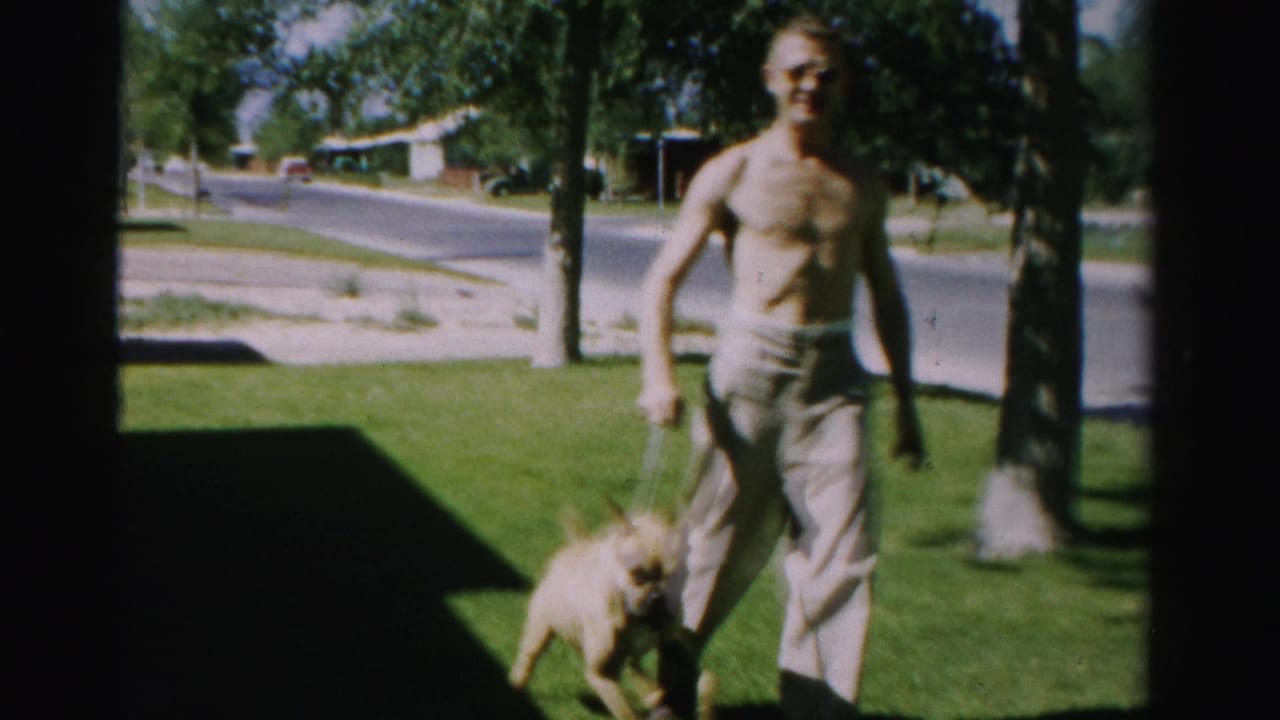 In supplied 1957 Normal, Illinois home-movie footage, a shirtless man walks a pulling leashed dog across a bright residential lawn.