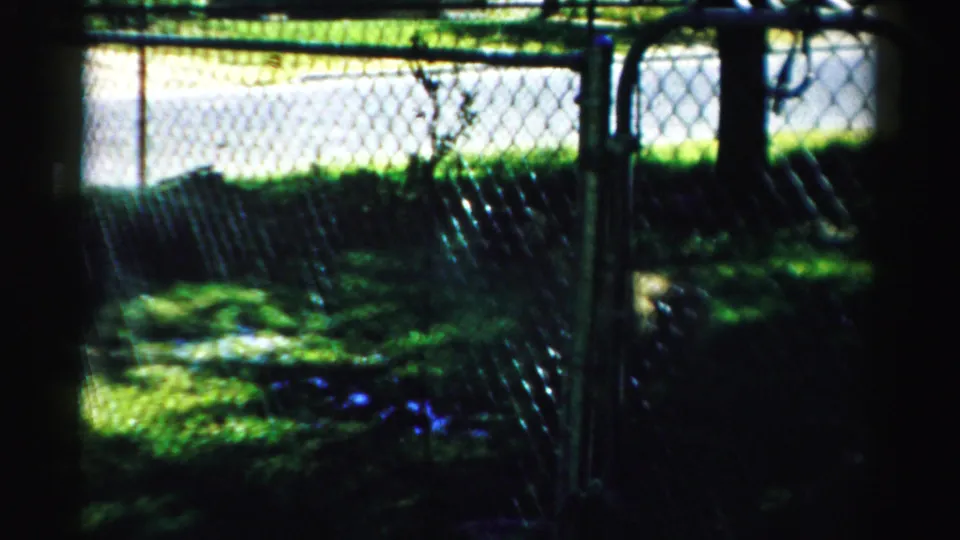 1957 Normal, Illinois yard view with chain-link fence, dappled grass, trees, and a small dog near the right side.