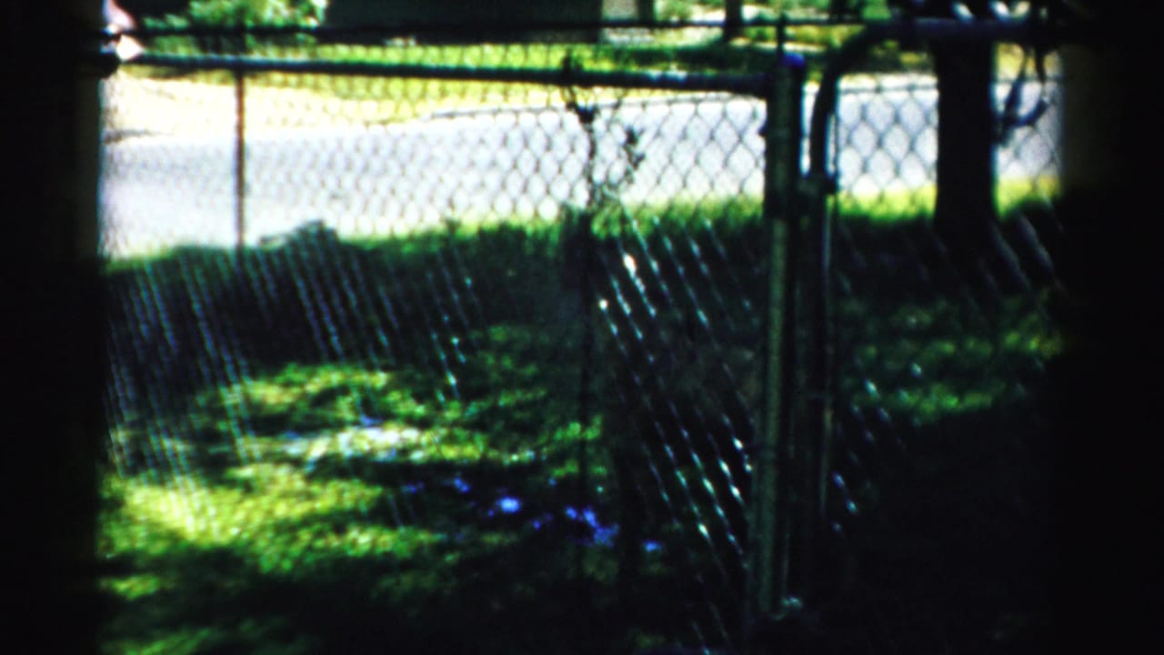 Shaded front yard behind a chain-link fence with trees and a street beyond.