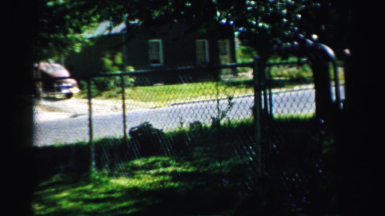 Fence and shaded yard with a house and car visible across the street.