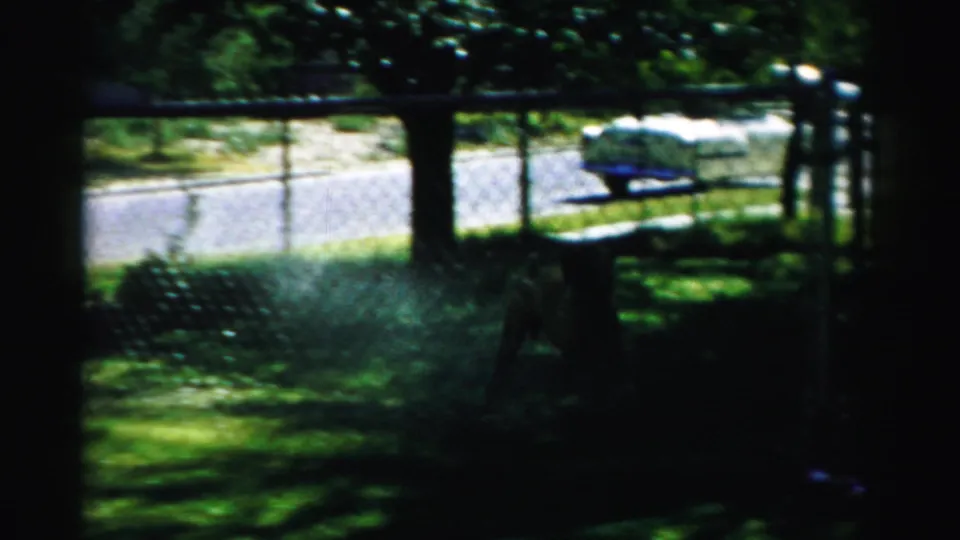 1957 Normal, Illinois home-movie frame showing a car beyond a fence, with trees and a shaded suburban yard in front.
