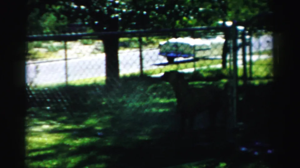 1957 Normal, Illinois frame of a shaded front yard, chain-link fence, trees, and a car visible along the street.