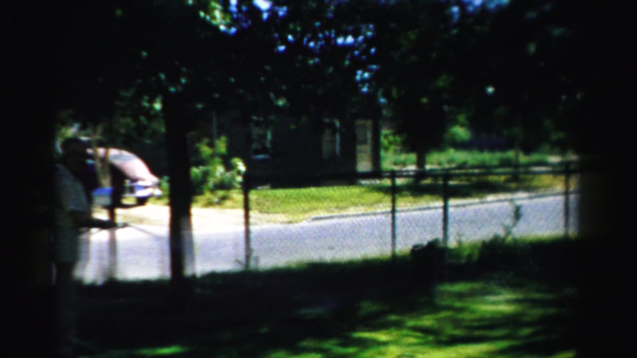 Shaded suburban yard with adults near a chain-link fence and a large dog at the edge of frame.