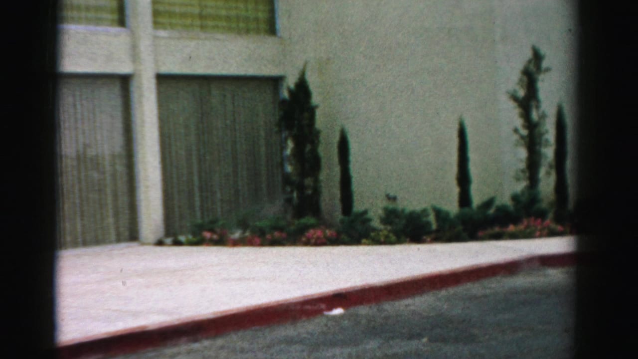 Pale building wall with curtained windows, sidewalk, red curb, shrubs, and tall narrow trees.