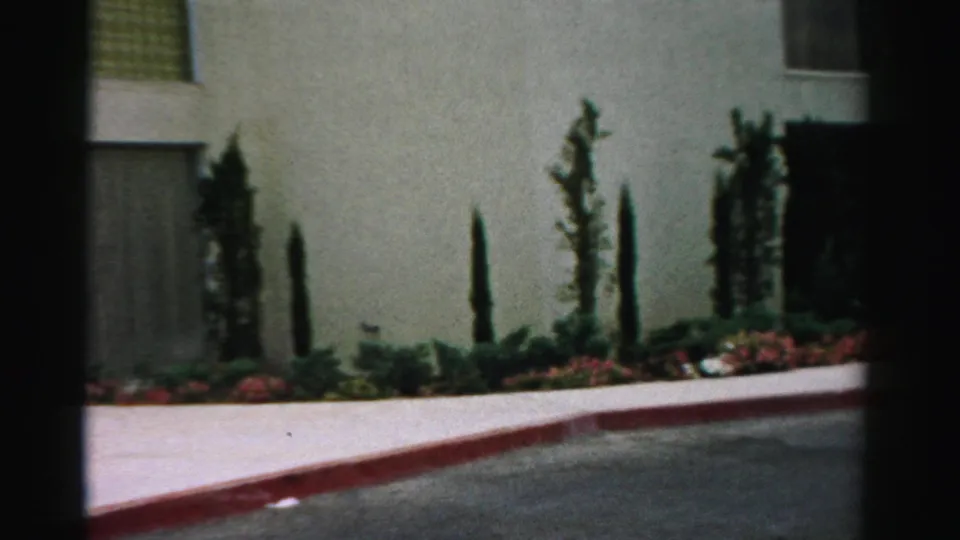 1957 Las Vegas exterior showing a landscaped strip beside a modern building, with a red curb, sidewalk, shrubs, and tall narrow trees.
