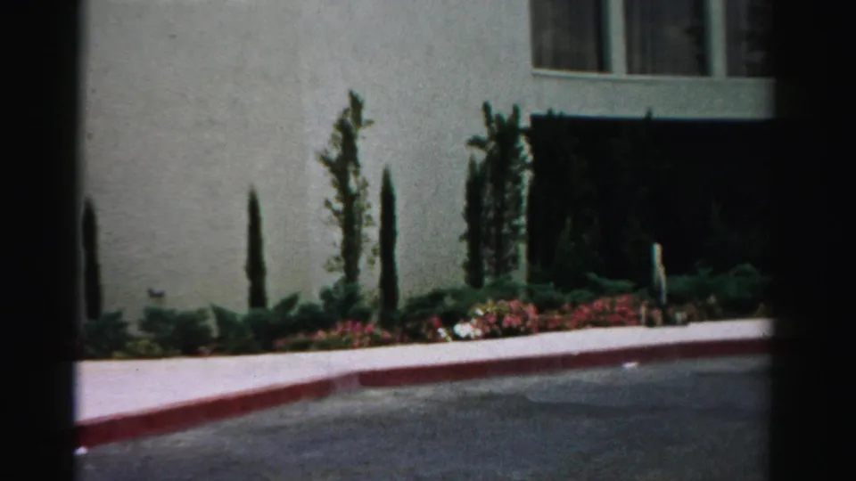1957 Las Vegas home-movie frame of a quiet street-facing garden beside a pale building, with tall trees, shrubs, flowers, sidewalk, and red curb.