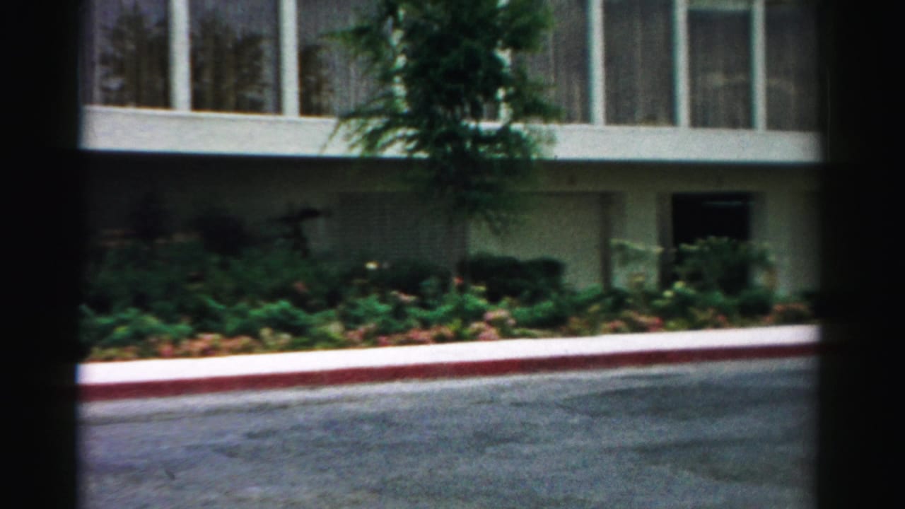 Building windows and landscaped frontage seen across a parking-lot lane.