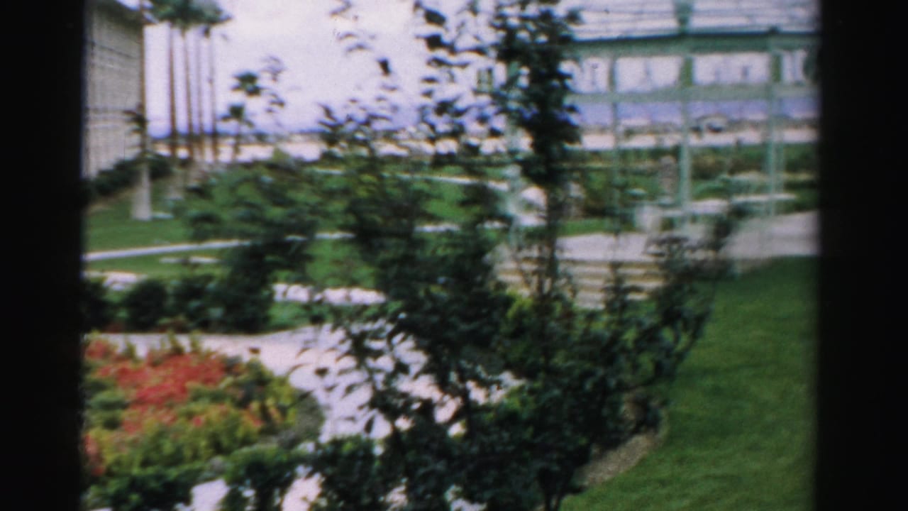 Garden walkway and lawn seen through trees, with a white trellis structure in the background.
