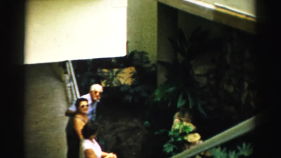 Several adults, including a woman in sunglasses and an older man, look up toward the camera from a shaded interior resort area with plants, a railing, and bright light from above.