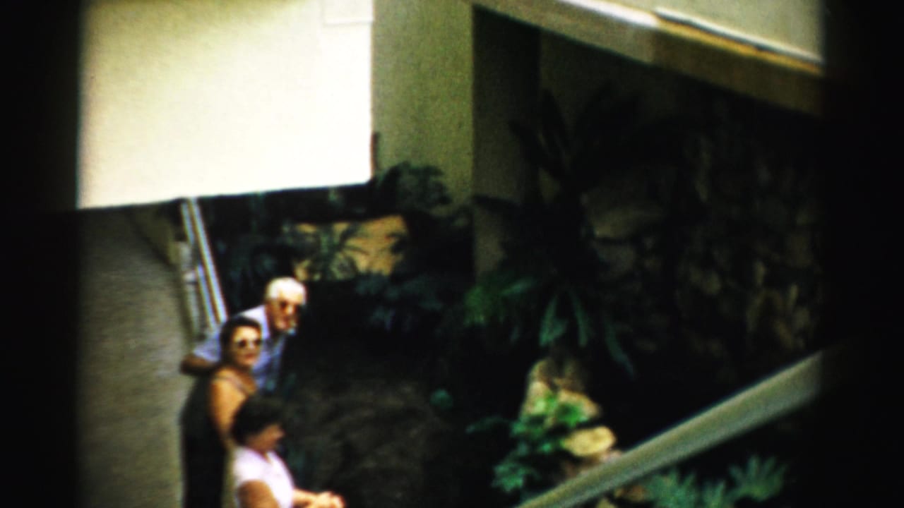 Three adults look up from an indoor garden area beside plants and stonework.