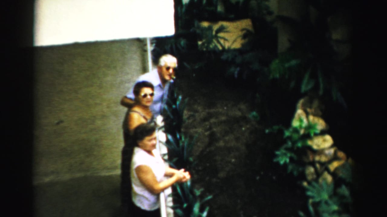 Three adults stand by a railing above plants and rocks in an indoor atrium-like space.